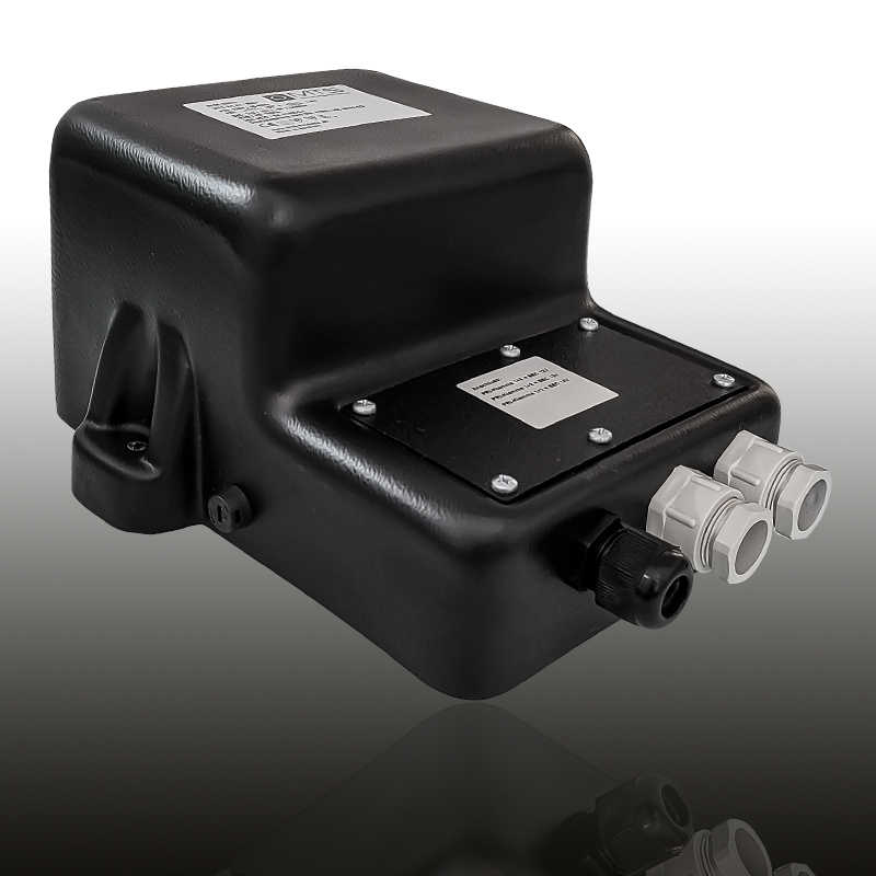 Verstellbarer Schwimmbad-Sicherheitstransformator 600VA / 11V / 12V / 13V AC